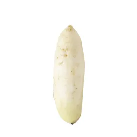 Daikon Radish 2.2lb