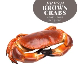 FRESH CRABS SINGLE APPROX 400-600G) - NOTTINGHAM DELIVERY ONLY! 新鮮麵包蟹