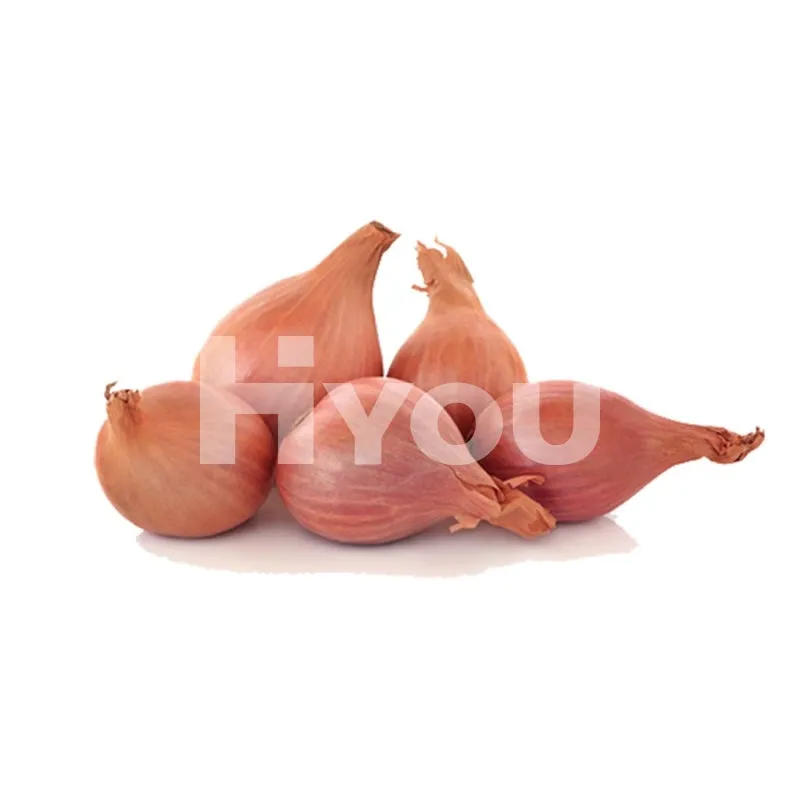 Fresh Shallots 200g ~ 新鮮紅蔥頭 200g