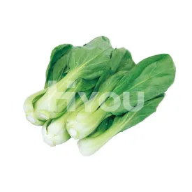 Fresh Shanghai Pak Choi 400g ~ 新鮮上海菜 400g