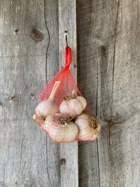 Garlic Bag