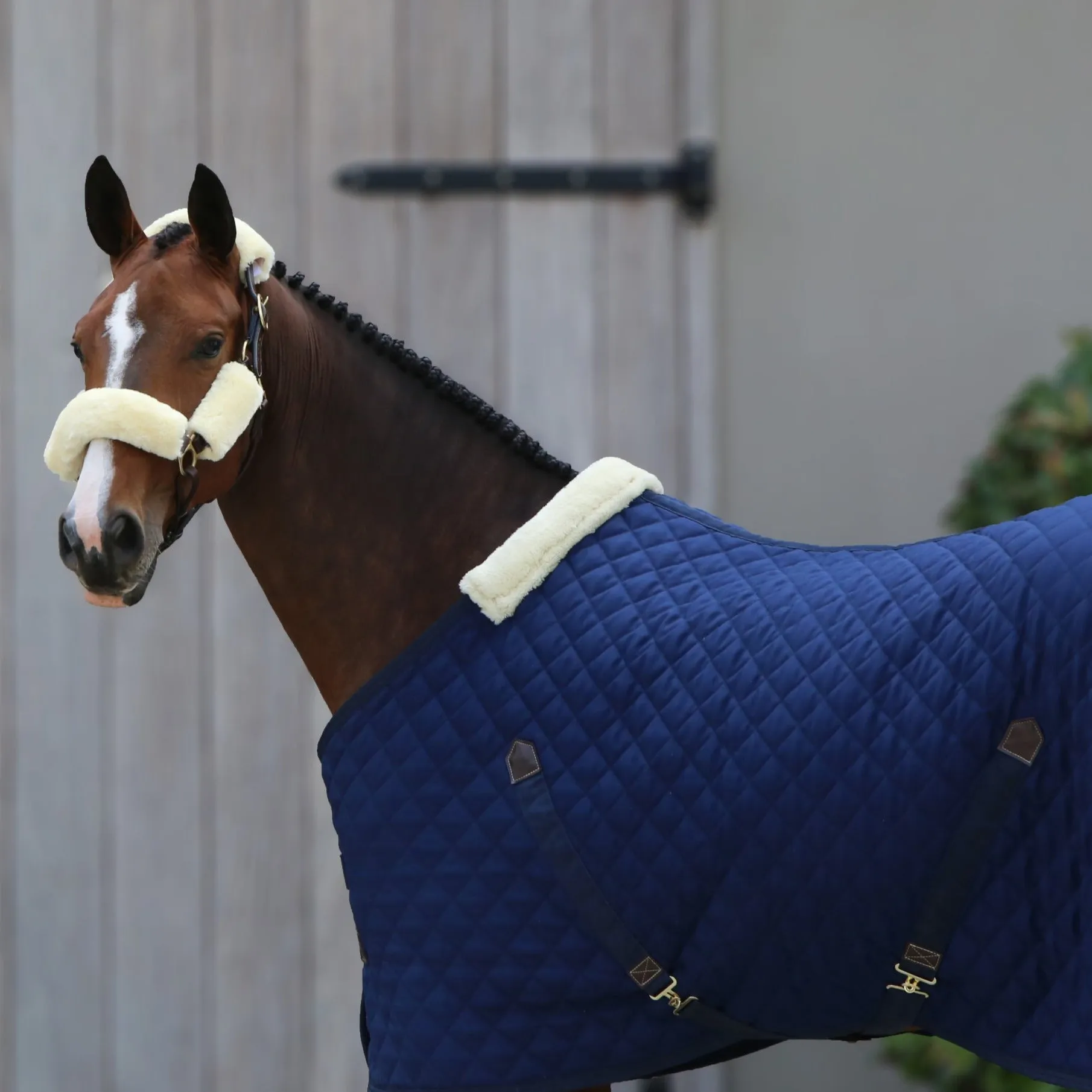 Stable Rug Navy 400g